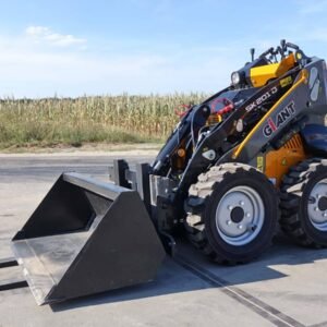 Giant SK201D Skid Steer Loader